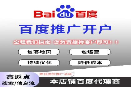 百度推广成功案例：打造行业领军品牌之路